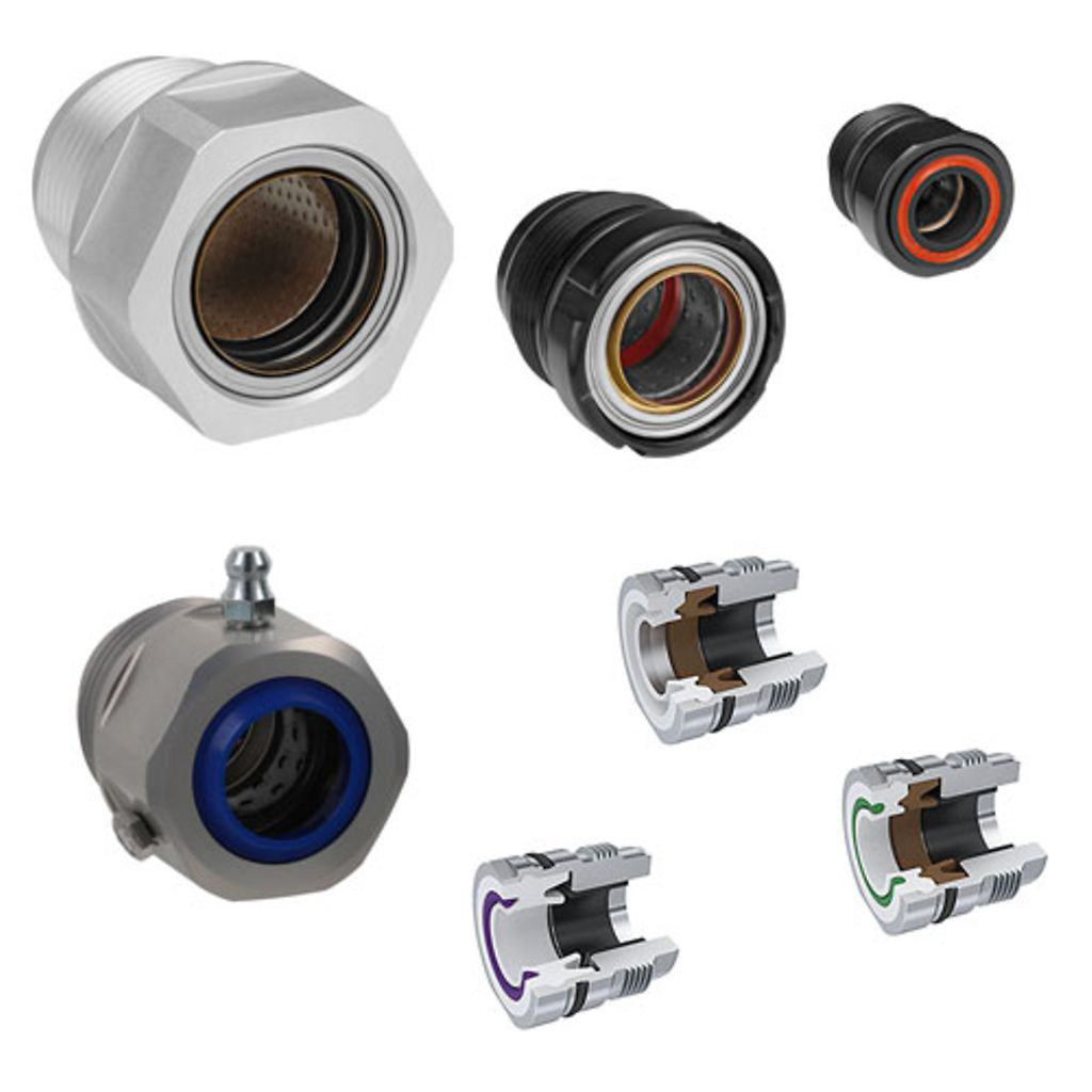 MS